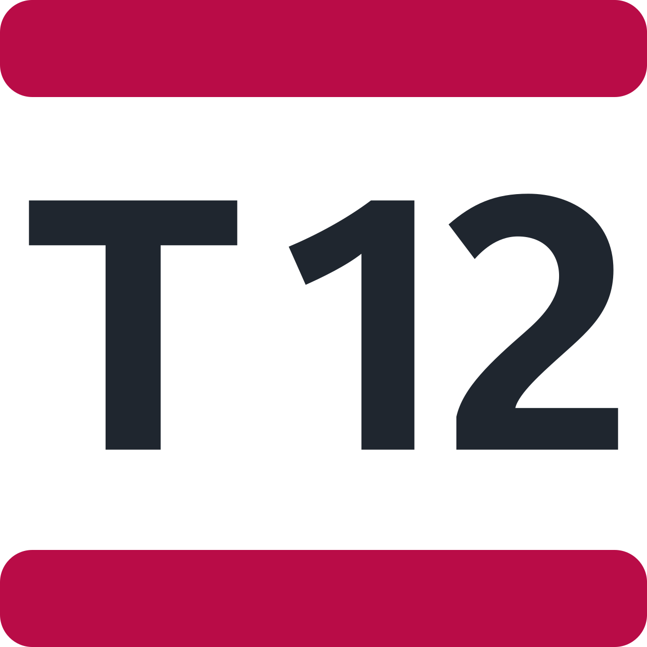 Ligne T12