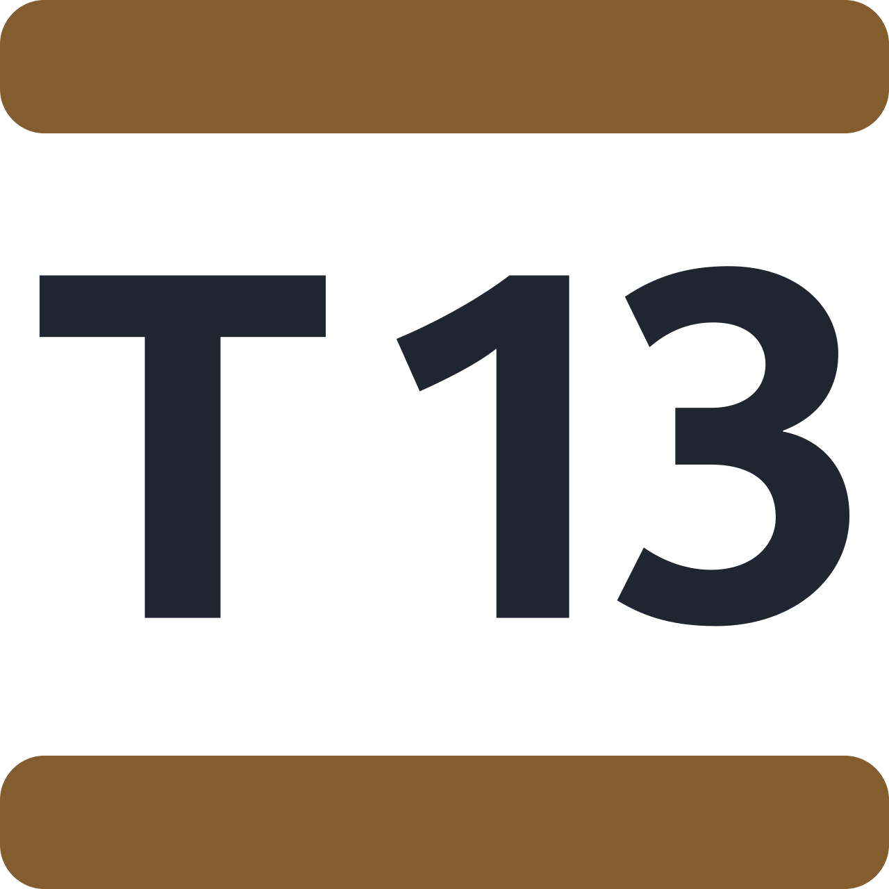 Ligne T13